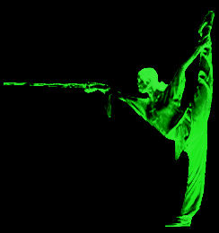 5.gif